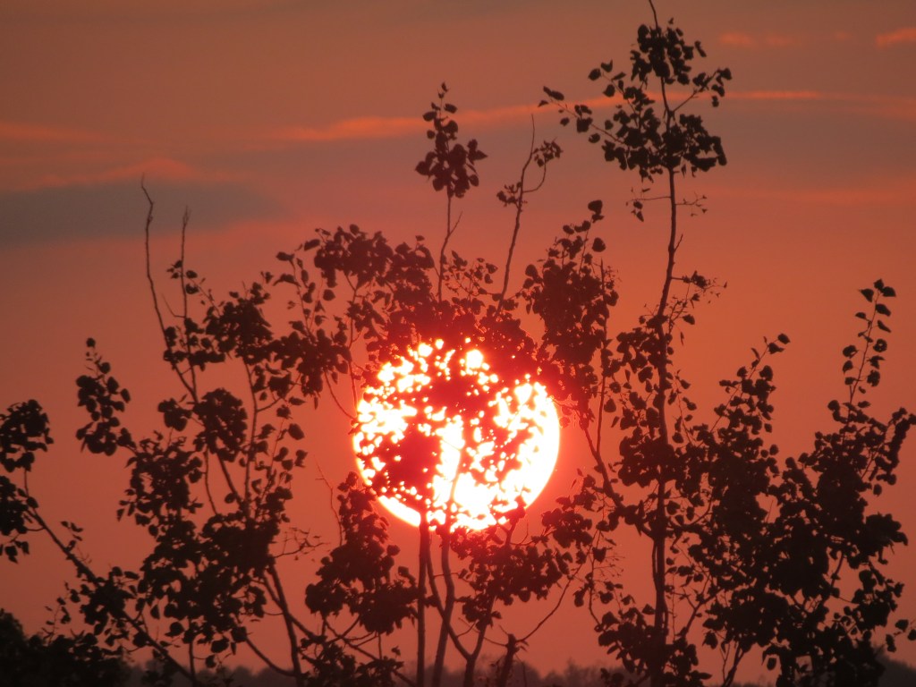 What do I do with all my negative&nbsp;thoughts?